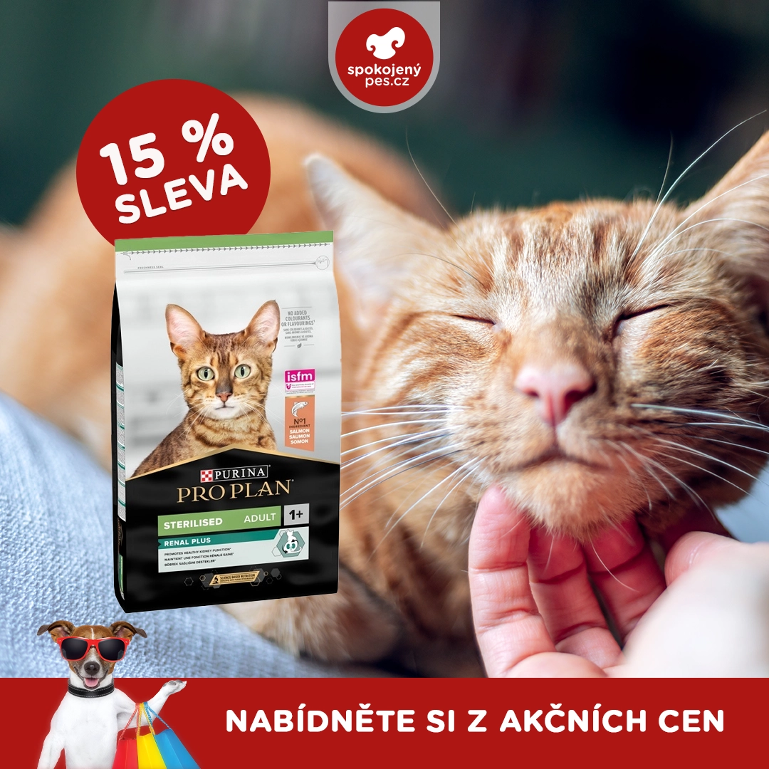 cat proplan.webp